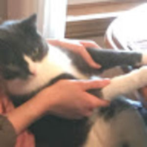 Meet your Posher, Grady